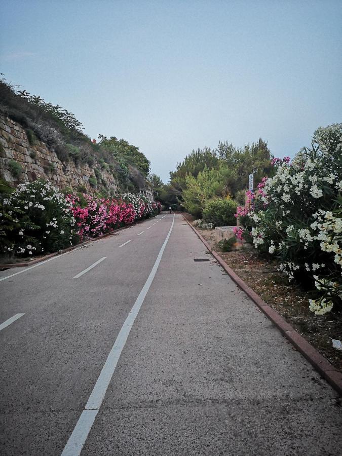 Da Rino Daire Cipressa Dış mekan fotoğraf